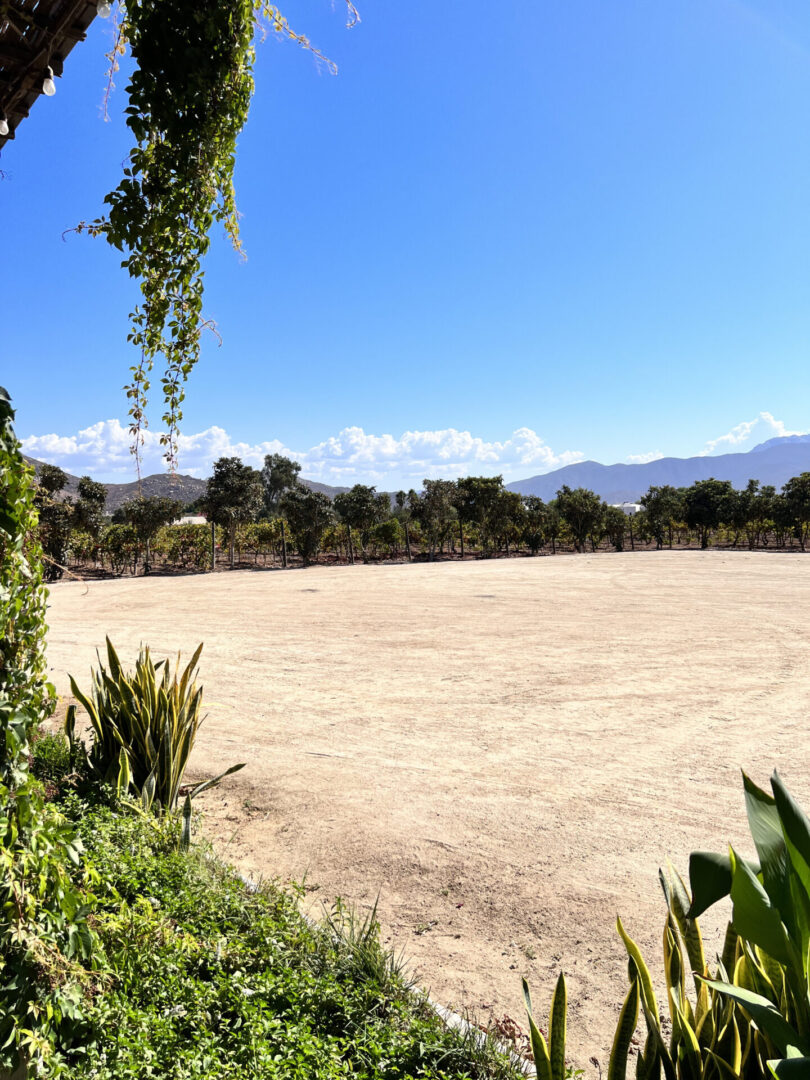 A dirt field with trees and mountains in the background.
