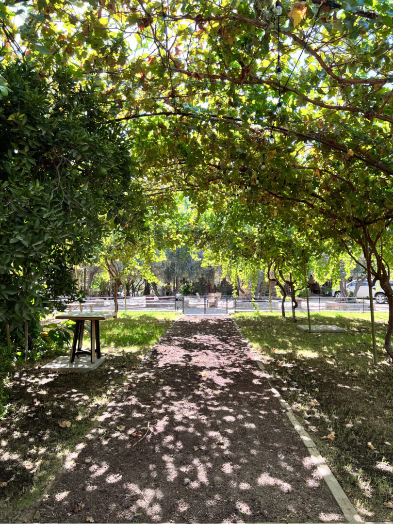 A park with trees and benches in the middle of it