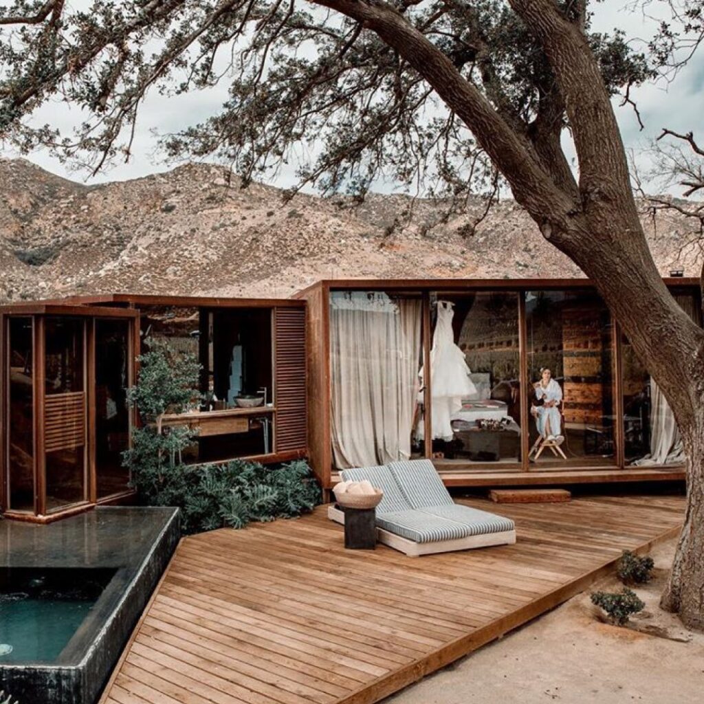 A wooden deck with a tree in the background