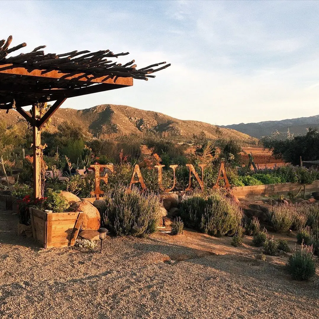 A view of the desert from an outdoor area.