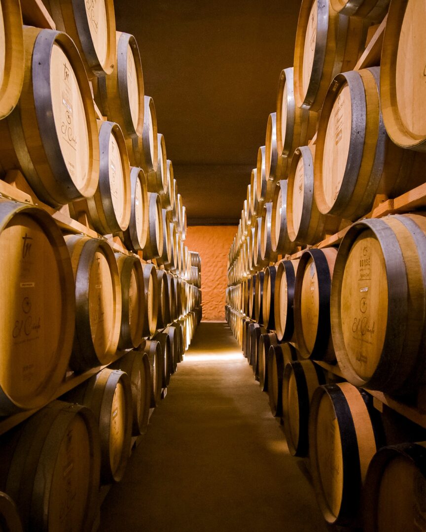 A room filled with many wooden barrels of wine.