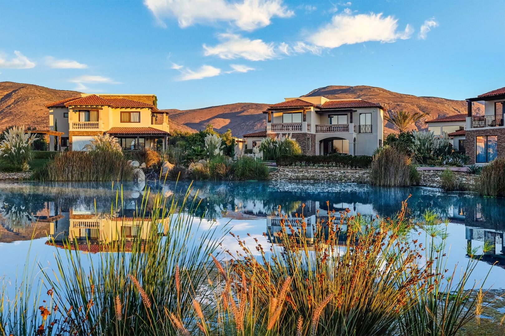 A pond with grass and some houses in the background