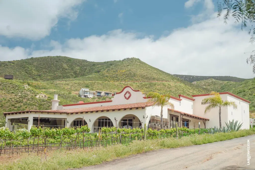 Affordable Weddings in Valle de Guadalupe