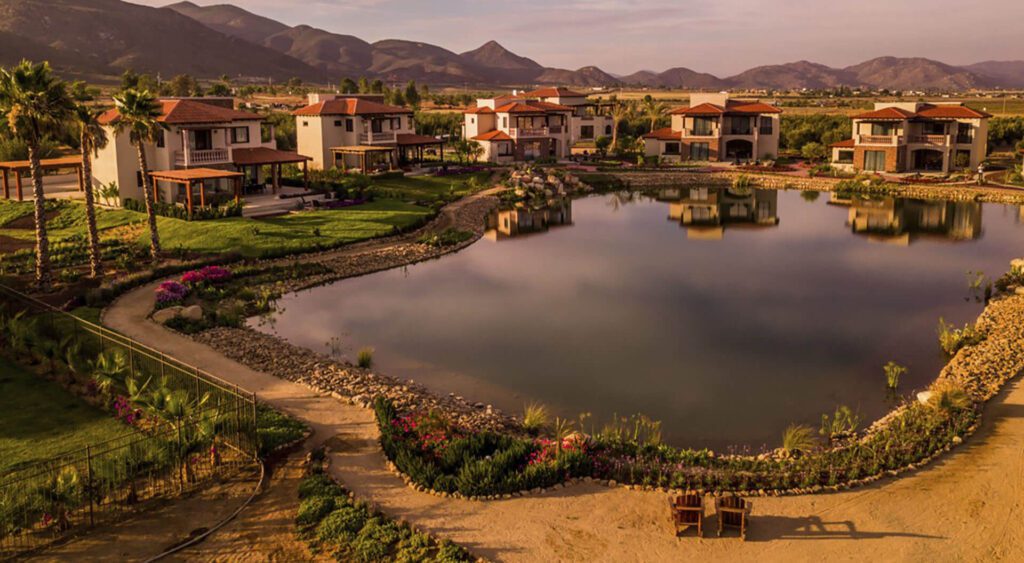 Unique wedding experiences Valle de Guadalupe