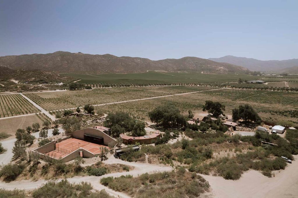 Wedding in Valle de Guadalupe